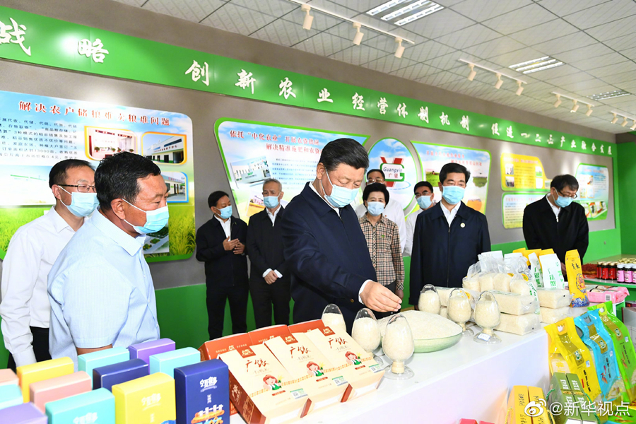 习近平在银川考察调研