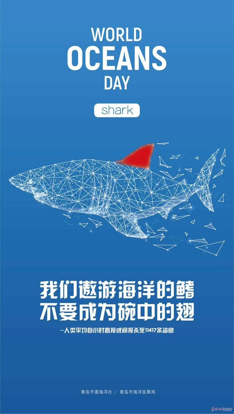 惊艳又大气！青岛推出“青岛版”海洋日主题系列海报